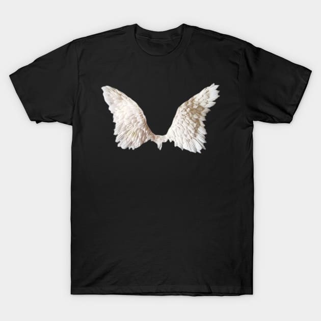 Light Academia Angel Wings T-Shirt by heyvisuals